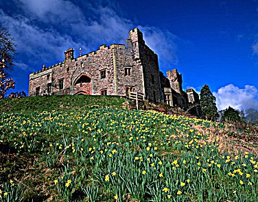 Great Days Out. muncaster2